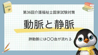 【36回介護福祉士国試対策】心臓と血管関連の問題を解くコツを解説します｜令和5年度 [upl. by Attennaj]