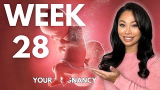 28 Weeks Pregnant  Your Weekby week Pregnancy Guide [upl. by Gard803]