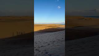 Dunas de Maspalomas Gran Canaria [upl. by Whitcomb]