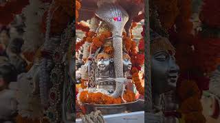 Har har Mahadev reel love misha shyam mishaan devotionalsong song mishaa harharmahadevsong [upl. by Schwartz]