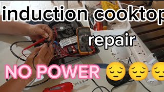 induction cooktop repair  no power  beginners guide full tutorial [upl. by Brittany]