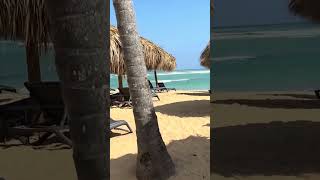 My vacation at Secrets Tides Punta Cana review [upl. by Ynove50]