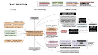 Molar pregnancy mechanism of disease [upl. by Odlabu]