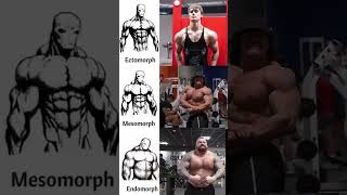 Which one do you have  endomorph ectomorph mesomorph gym [upl. by Nho602]