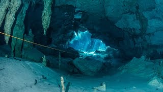 Cenote diving Dos Ojos Mexico [upl. by Skvorak]