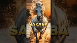 Horse name of prophet Muhammad SAWislmicvideo shortfeed top [upl. by Willyt]