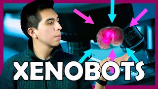 🧐 ¿Cómo insertar CHIPS en el cuerpo 🤖 ¿Qué son los XENOBOTS  BioCiencia ft OCA [upl. by Aneeras995]