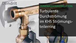 Turbulente Durchströmung in der VenturiströmungsteilerRingleitung [upl. by Norris]