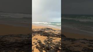 Secret beach Kauai Hawaii travel beach beaches hawaiianbeach adventure view [upl. by Davilman]