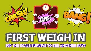 FIRST WEIGH IN on Slimming World  Slimmingworld weighinday weightloss [upl. by Alekat]