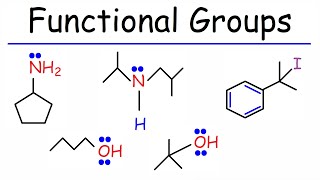 Functional Groups  Primary Secondary Tertiary  Alcohols Amines amp Alkyl Halides [upl. by Anala]