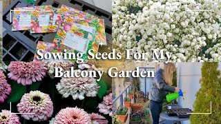 Sowing Seeds for my Balcony Flower Garden  Zinnia Cosmos Astrantia Gypsophila Tagetes [upl. by Aynuat488]