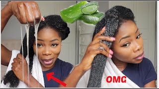 3 WAYS TO USE ALOE VERA FOR MASSIVE HAIR GROWTH  Aloe vera oil Prepoo amp Detangler  UPDATE [upl. by Bussy]