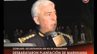 Canal 26 Gowland  Golpe al Narcotráfico secuestraron 500 kg de Marihuana [upl. by Raffaj]