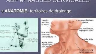 ORL ADENOPATHIES et MASSES cervicales [upl. by Rammaj835]