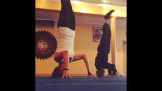 Dharma Yoga Handless SirsasanaHeadstand [upl. by Eimia502]