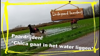 30 Boerderijfilmpjes en paardrijden gaat mis [upl. by Aniehs]