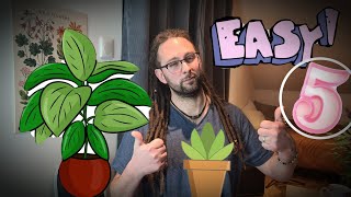 5 PLANTES dintérieur🪴Niveau  Easy Hortus Talk 6 [upl. by Anitan]