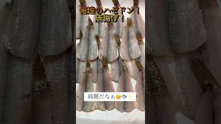 ハゼドンの唐揚げ！上を向いて歩こう！ ハゼ 釣り動画 ハゼ釣り 料理 [upl. by Ube]