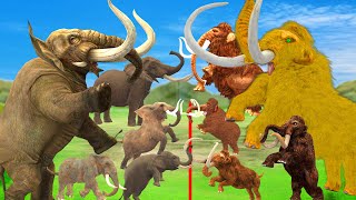 Prehistoric Mammals vs Modern Mammals Mammoth Mastodon Fight Elephant Size Comparison Animal Battle [upl. by Adam373]