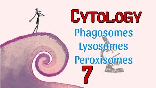 Cytology ll phagosome  lysosome  peroxisome [upl. by Nithsa]