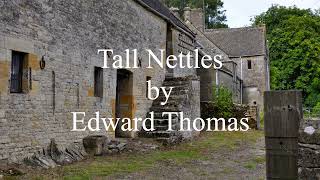 Tall Nettles by Edward Thomas [upl. by Seira118]