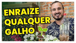 Técnica para enraizar qualquer galho sem gastar 1 real [upl. by Navonoj]