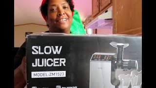 WHALL MASTICATING SLOW JUICER REVIEW [upl. by Oicnedurp]