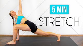 5 MIN DAILY STRETCH  An everyday full body routine for basic flexibility [upl. by Barber]