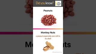 Peanuts Vs Monkey Nuts [upl. by Ettegroeg147]