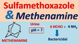 Sulfamethoxazole and Methenamine drug interaction [upl. by Sheehan236]