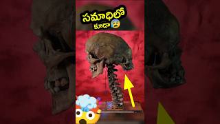 🤯 రాత్రుళ్ళు మాత్రం వింత సౌండ్స్  Edward Modrake  telugu facts [upl. by Marika275]