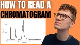 HOW TO READ A CHROMATOGRAM StepByStep Guide For Beginners [upl. by Thomasine623]