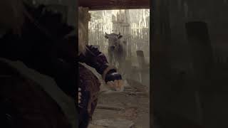 Mr Cows Pissed halloween memes residentevil funny gaming shorts [upl. by Annabelle]