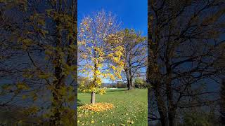 Herbstzauber am Golfplatz  Golf Club Murtal  Spielberg Austria [upl. by Odessa]