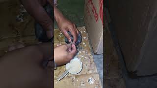 Feeding Baby Pigeon by hand is a very tough job Birds pigeon kabutar kabootar shorts [upl. by Ellered897]