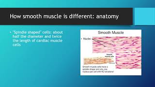 Three Types of Muscle Tissue [upl. by Akcirred]