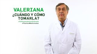 Valeriana cuándo y cómo debemos tomarla Tu Farmacéutico Informa  PlantasMedicinales [upl. by Arej843]