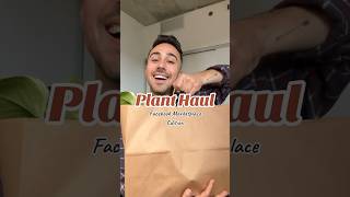 plant haul 🪴 plants planthaul indoorplants plantparent rareplants shorts plantcare plant [upl. by Chalmers]