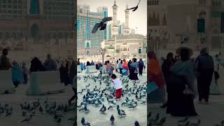 love 90s husain lovelypoetry 1v1 vlog husaain 100 funny 4k 4kstatus 4u 4x4 4🇸🇦🇸🇦🇸🇦🕋🕋 [upl. by Nal]