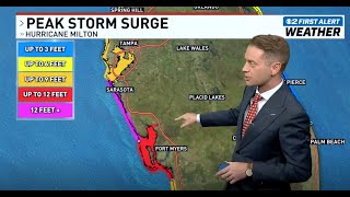 Understand peak storm surge expected from Hurricane Milton in Tampa area [upl. by Imefulo]