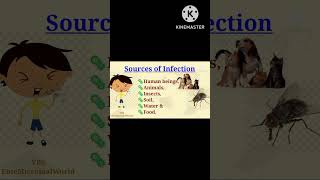 Sources Of Infection EnteMicrobialWorld microbiology microbiologyshorts shortsyoutubemicrobes [upl. by Ilrak]