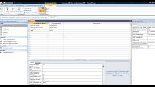 VIDEO 1 CREAR TABLA EN ACCESS ENTRADAS Y SALIDAS [upl. by Anilasor]
