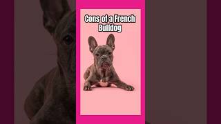 🤯Cons of Owning a French Bulldog dog puppy frenchbulldog dogbreed [upl. by Cela149]