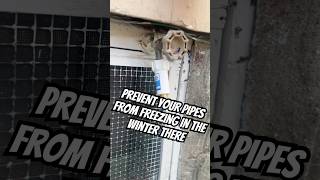 Freeze Miser Winter tip home homeowner helpful freeze [upl. by Adnolahs]