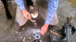 Andric Fajardo shoeing race horses [upl. by Islek592]