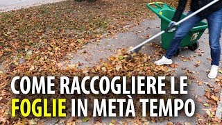 Come Raccogliere le Foglie Velocemente [upl. by Anom]