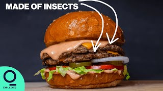 The Future of Food Edible Insects [upl. by Drolyag]