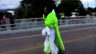 Carnaval En Ponce 2012  DMR FILMS [upl. by Latrina107]