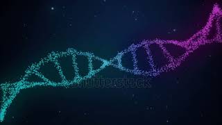 Double Helix Structure of DNA [upl. by Kevon]